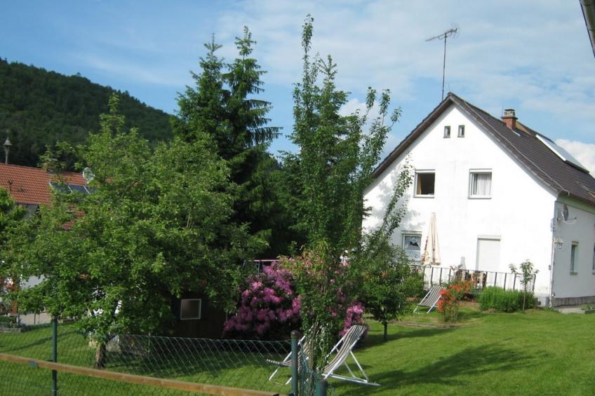 87288 - foto 2