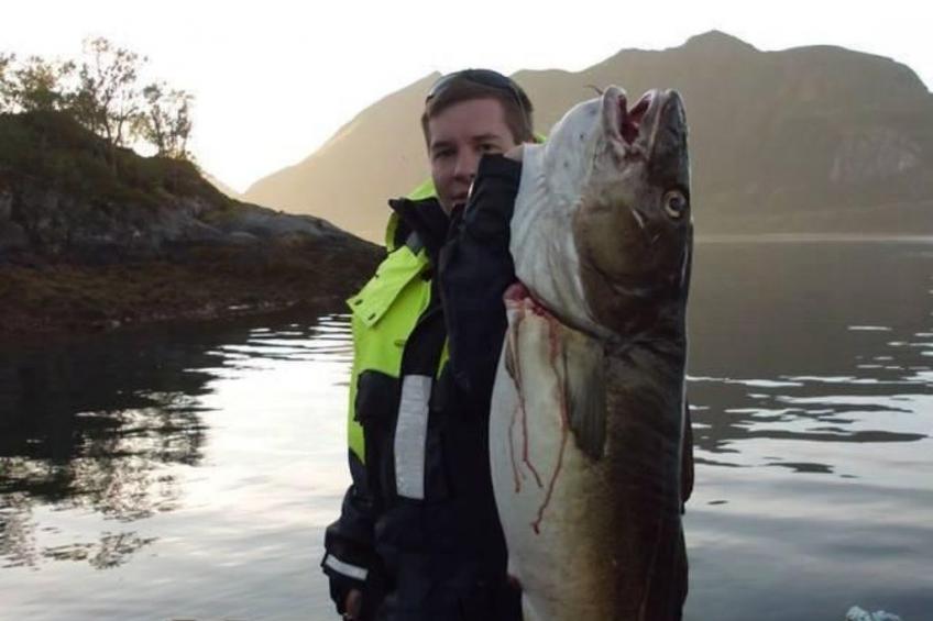 Meløy Naturopplevelser Tømmervik - foto 19