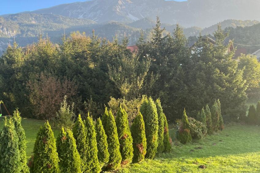 Meadow Tranquil Apartments with Evergreen Garden - Two Bedroom Apartment - foto 19