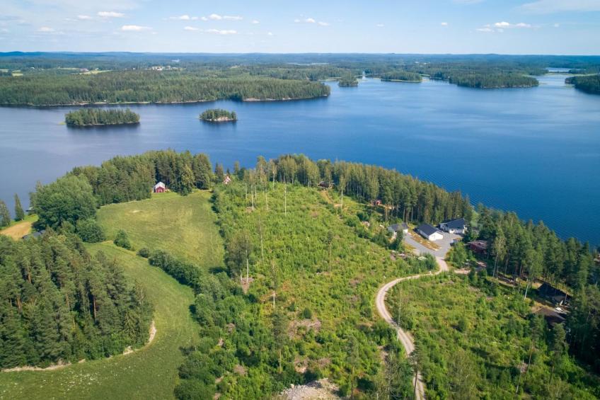 Vapunkärki - foto 48