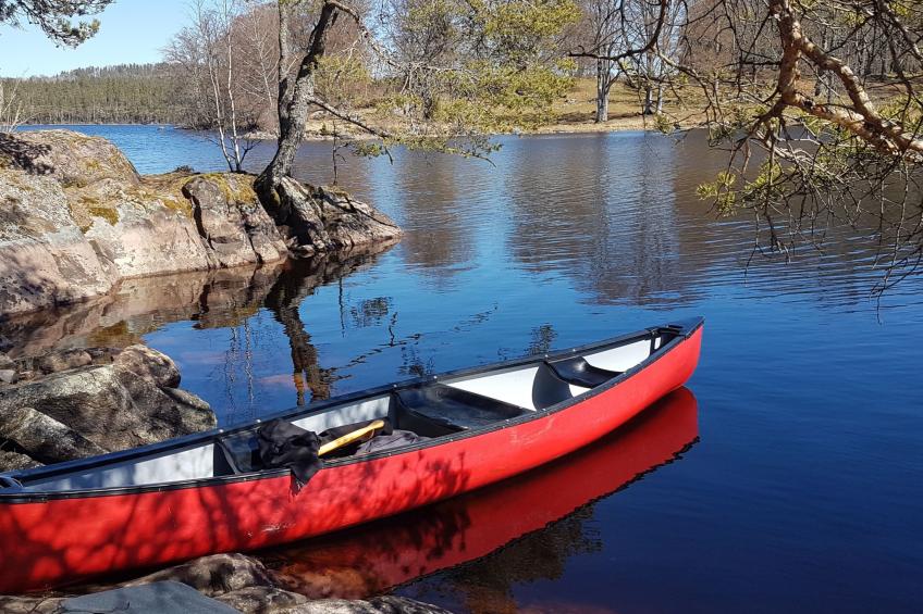 Särskilda - foto 25