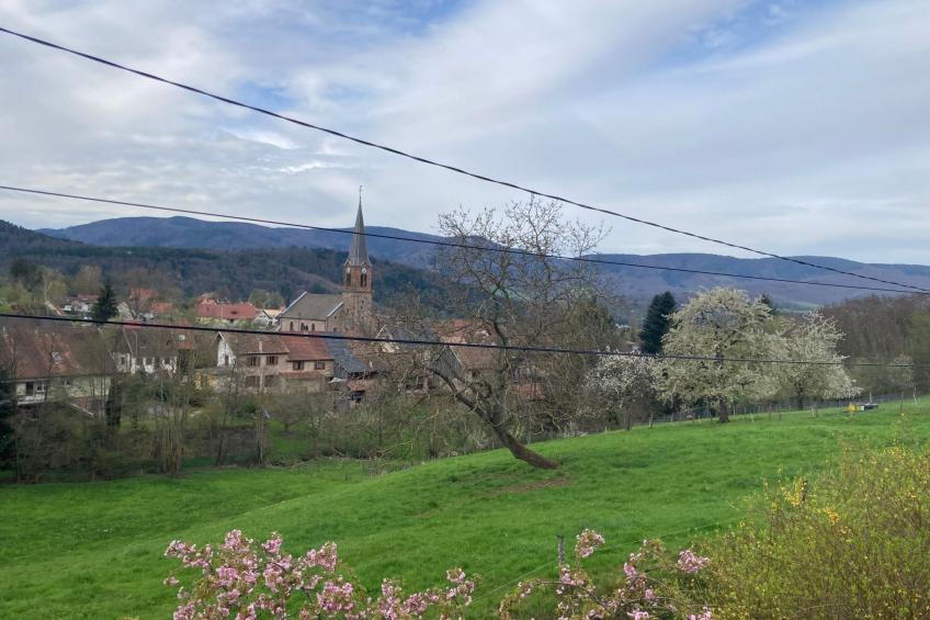 Peaceful Escape - foto 11