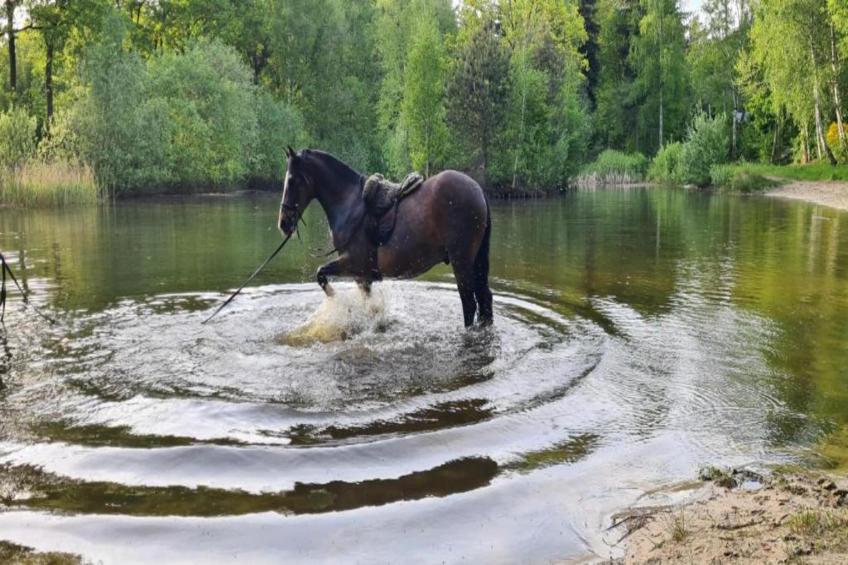 Buitenplaats Gerner 7 - foto 25