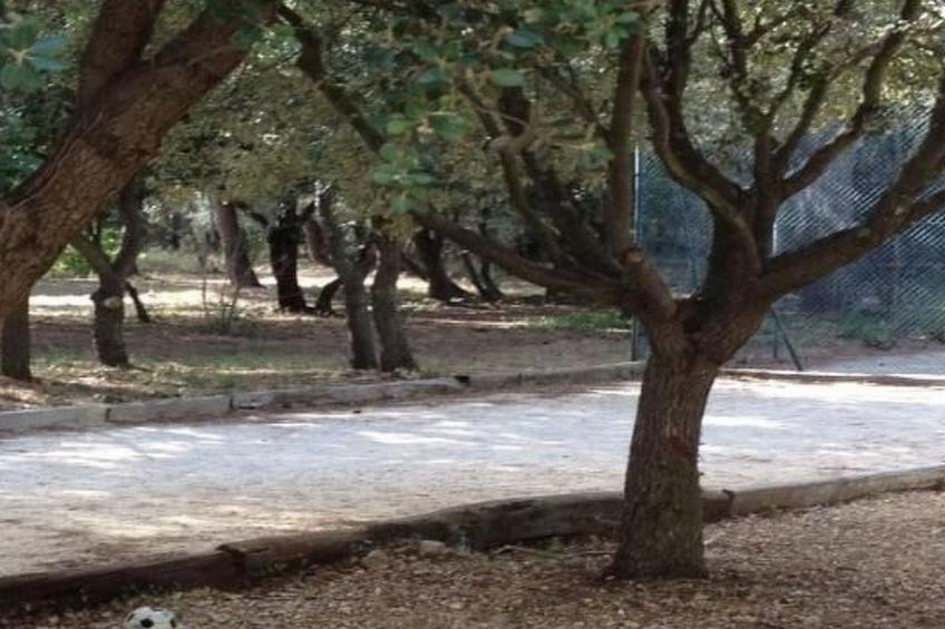 Studiowohnung mit Terrasse - Pool, Tennis, Bouleplatz - foto 6