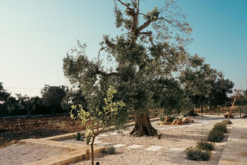 Villa Jolie mit Pool - foto 9