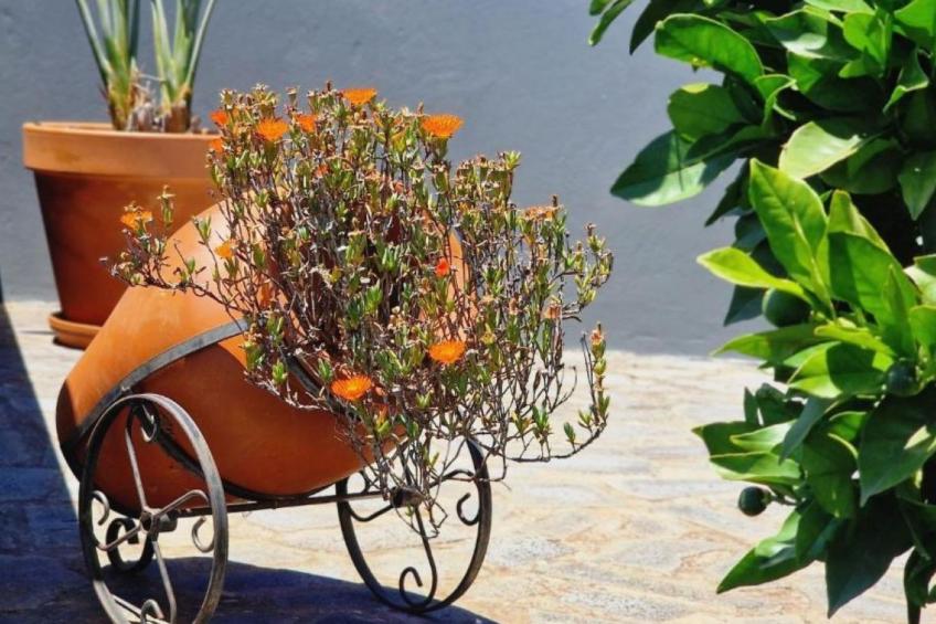 Villa "Casa Laranja" mit Bergblick - foto 9