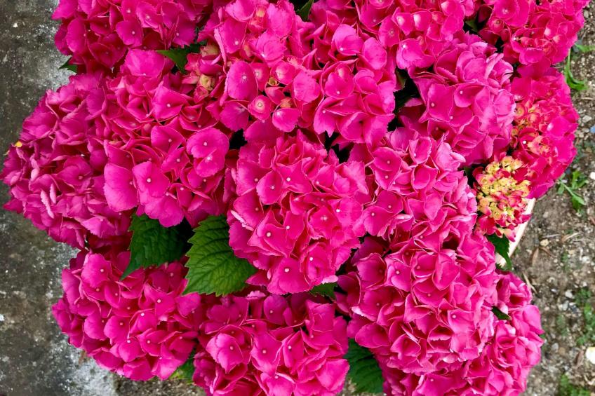 Casa Belvedere - foto 44