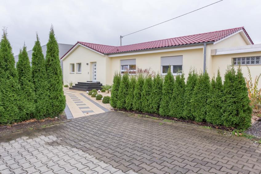 Ferienwohnung Markdorf - foto 8