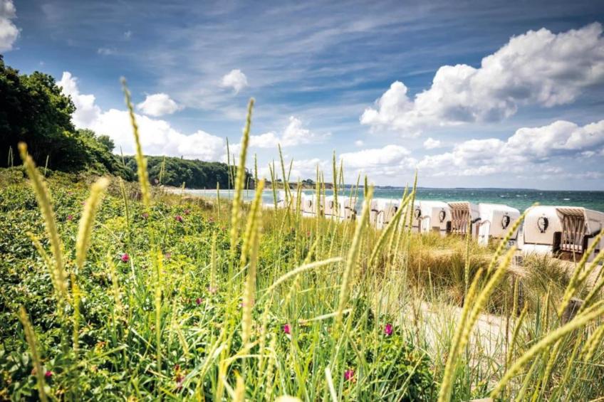 Ferienwohnung Oldenburg an der Ostsee 1 - foto 25