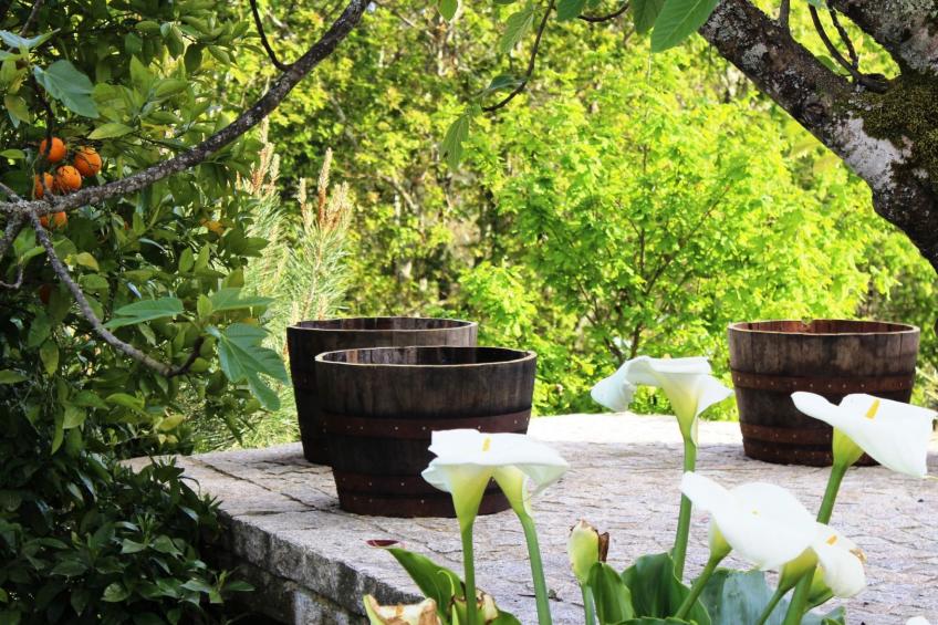 Finca mit Terrasse - foto 27