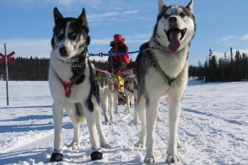 Gemütliches Blockhaus mit Kamin im Oviksfjäll - foto 21