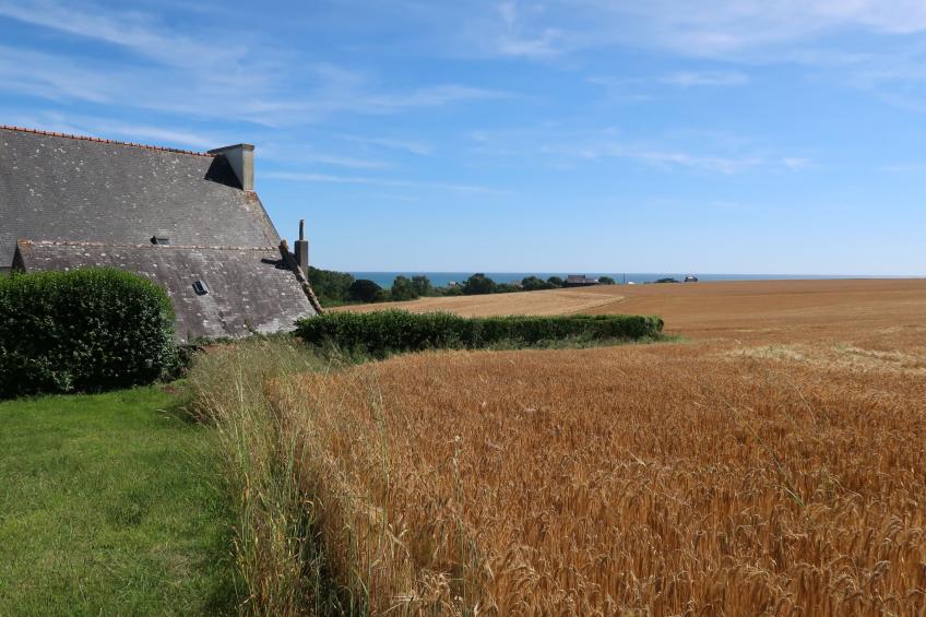 Reihenhaus (PZV108) - foto 16