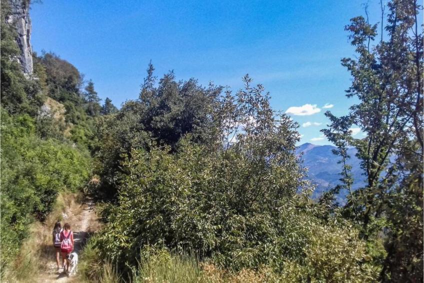 La Principessa - foto 17