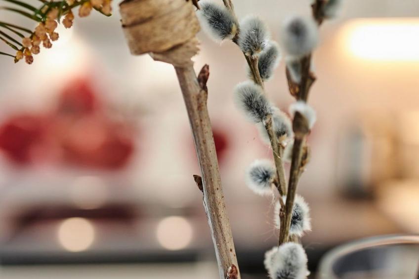 Komfortables Ferienhaus in purer Natur - foto 22