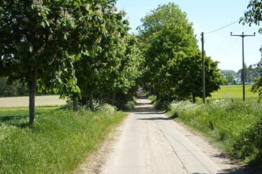 Mueritzbrise 3 mit Terrasse free WiFi - foto 9