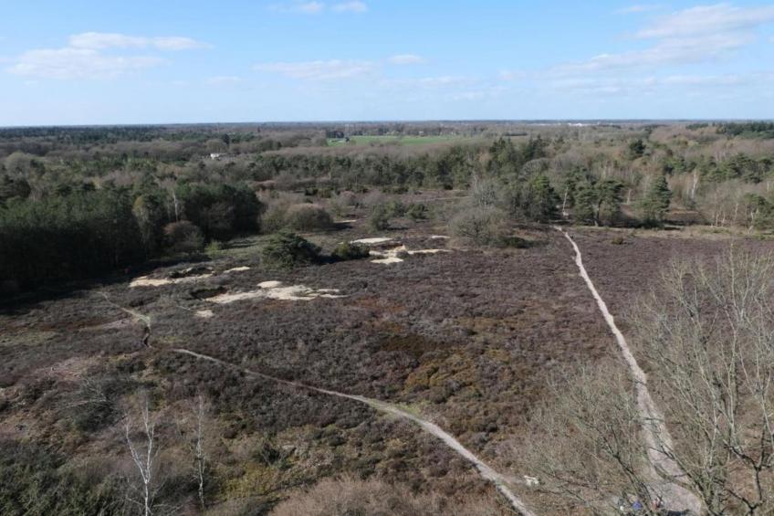 De Tolplas - Twents Buitenverblijf 4 - foto 34