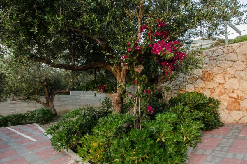 "Sirocco" mit Blick auf das Wasser - foto 28