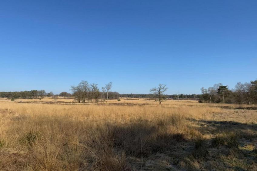 Bungalowpark Hoenderloo - foto 36