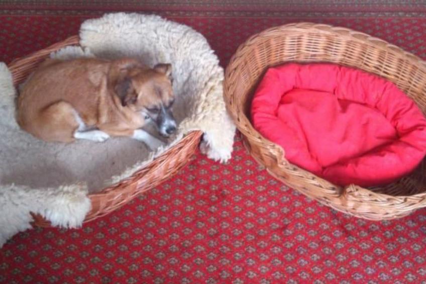 Haus mit  freier Fahrradnutzung und kleinem Boot - foto 26