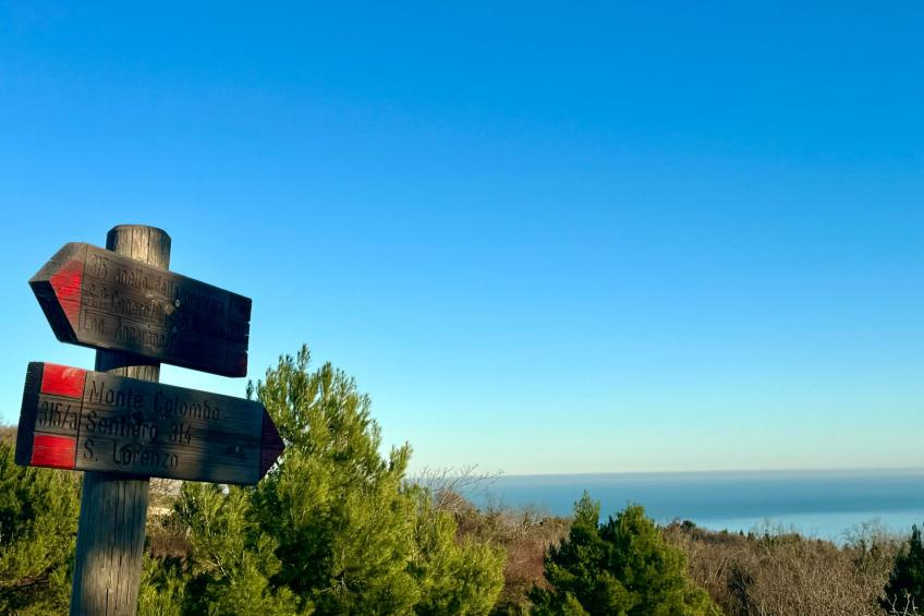 CASA ANCARANO Sirolo - foto 44