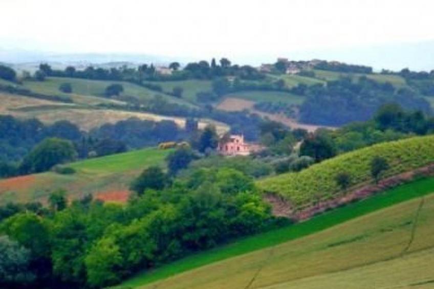 'Villa Mauro - foto 8