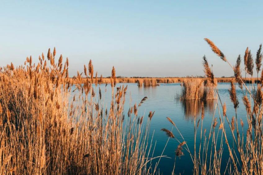 Guesthouse Spa Seeblick - foto 17