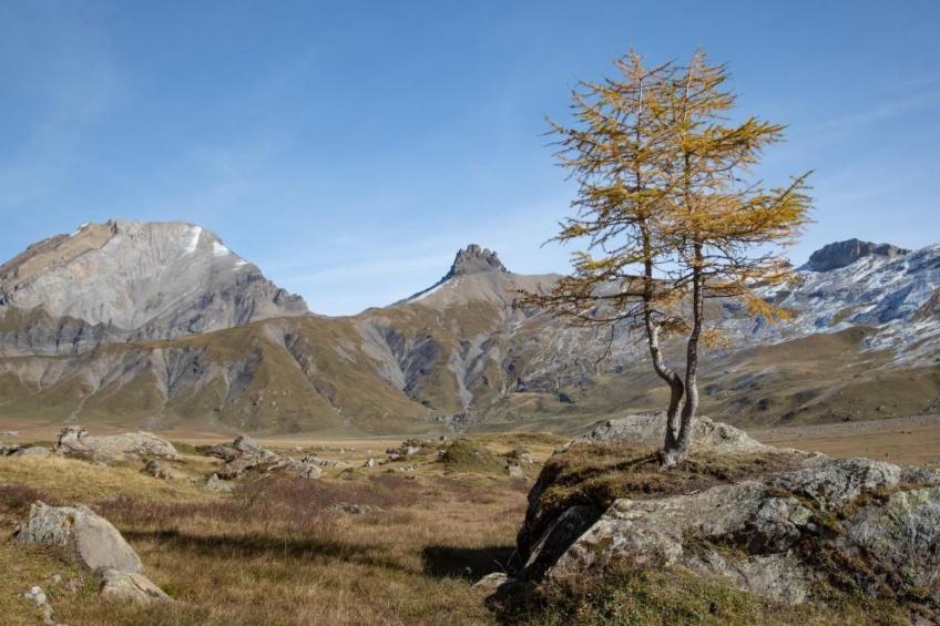 Gehrihornblick - foto 12