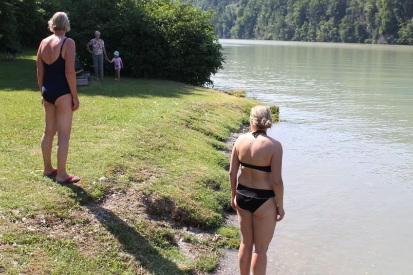 Erle in Feistritz im Rosental - foto 12