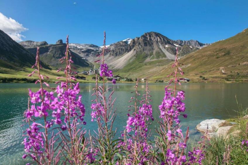 Résidence L'Altaviva - foto 31