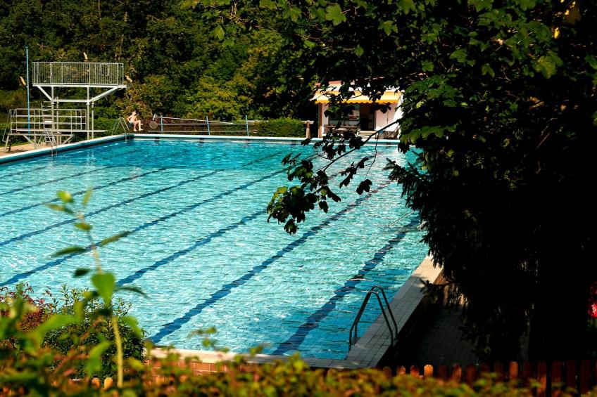 in Waldkirchen mit Garten und Seeblick - foto 19