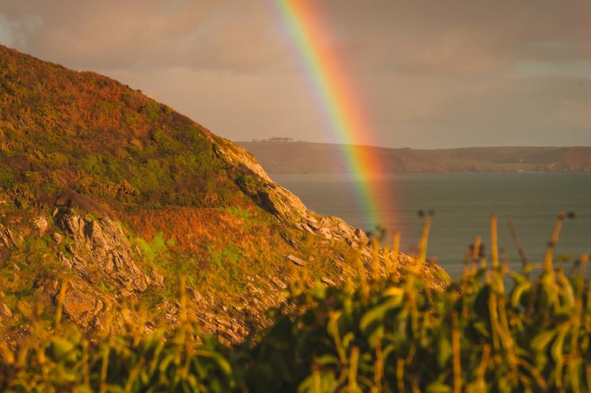 The Old Store - foto 15