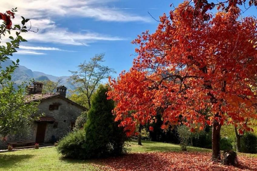 Wohnung 'Huts 3' mit Wasserblick - foto 35