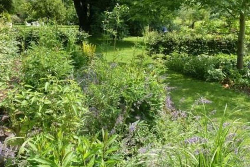 The Water Mill of Tourteron - foto 16