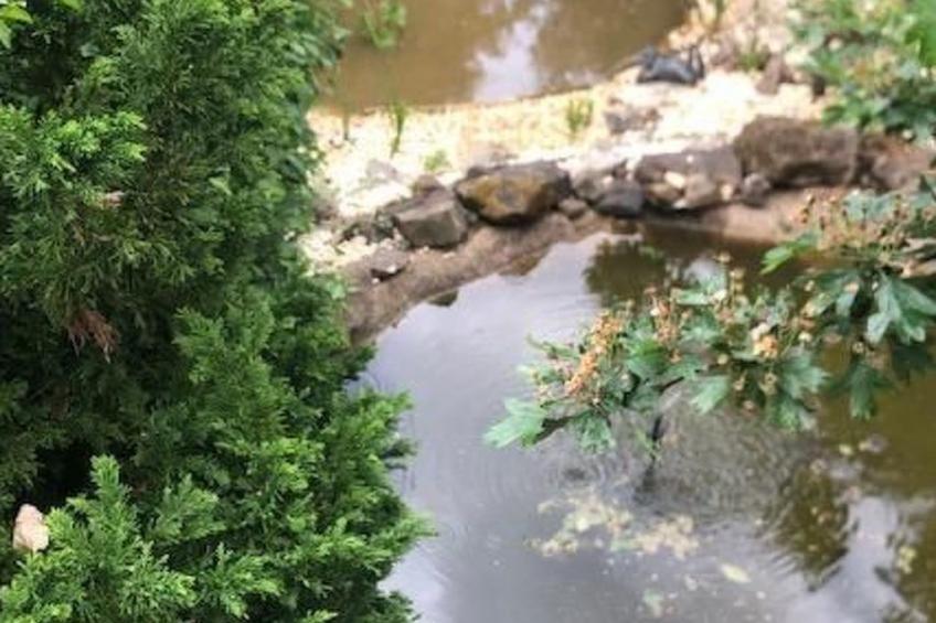 mit Terrasse - foto 15