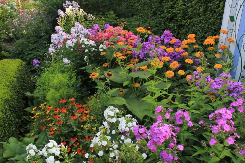 Appartement mit Wallbox - foto 32