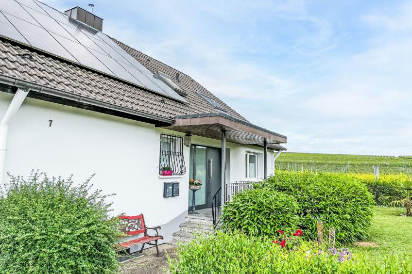 Weinbergblick - foto 19