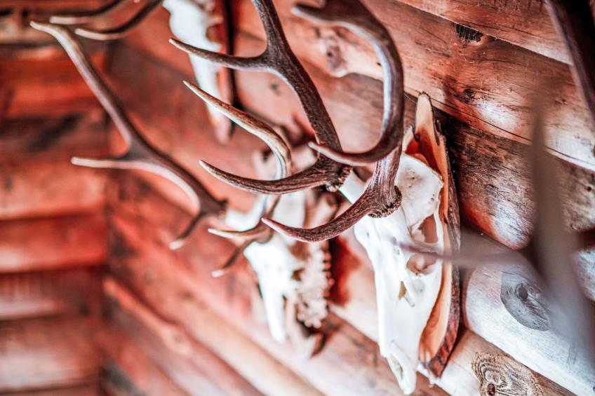 Ferienwohnung Gartenblick - foto 29