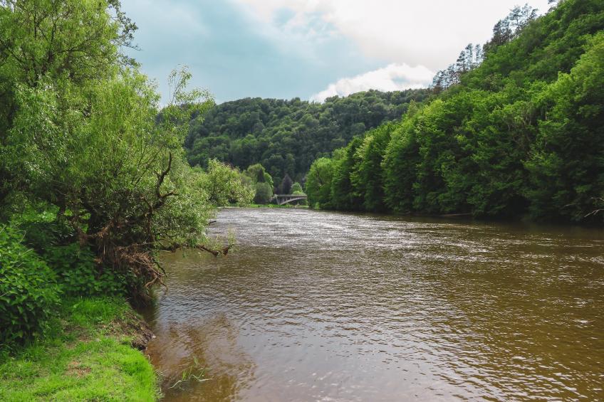 Au Coeur d'Alle - Double Room with Large Double Bed - foto 34