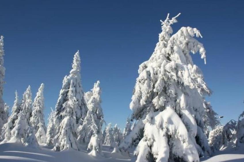 Fewo Bergkristall - foto 15