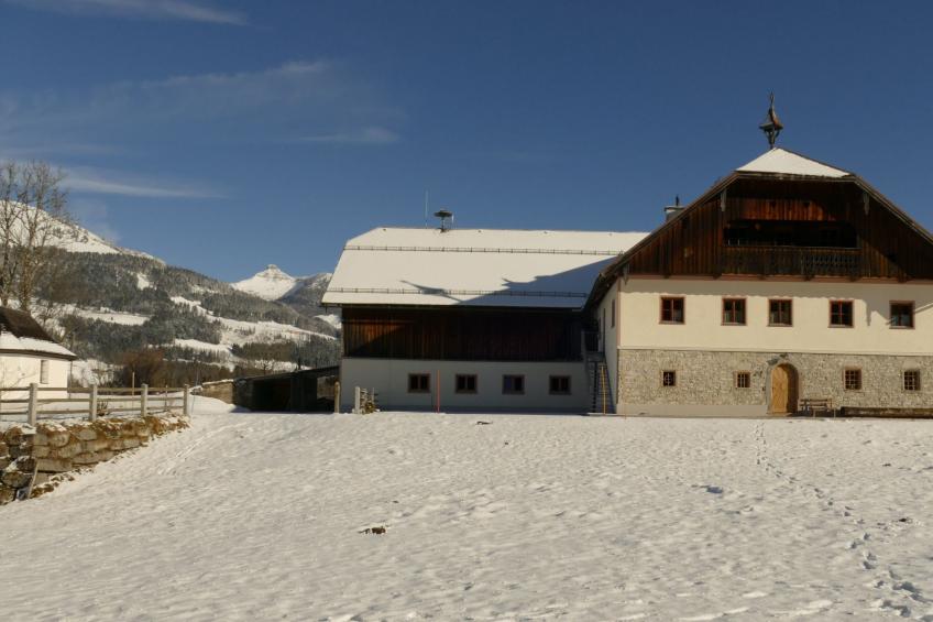 in Sankt Koloman mit Großer Terrasse - foto 37