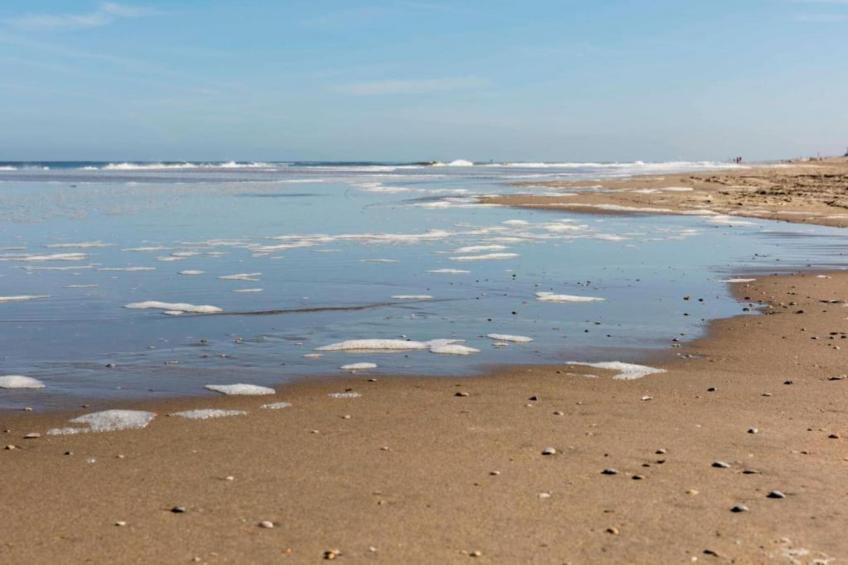 Noordzee - foto 26