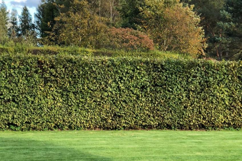 mit Schwimmbad - foto 11