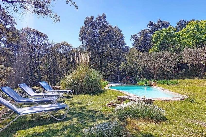 Ferienhaus mit Pool (AMS100) - foto 40