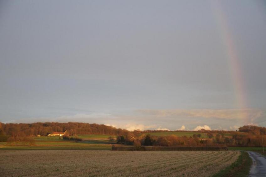 Resort Maastricht 31 - foto 30