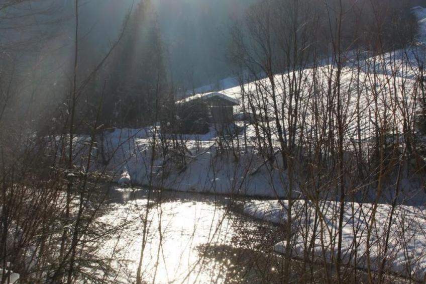 Alpkönigin - foto 29