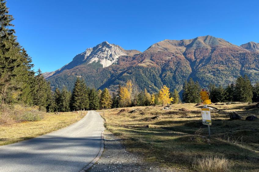 Casa Selva - foto 15