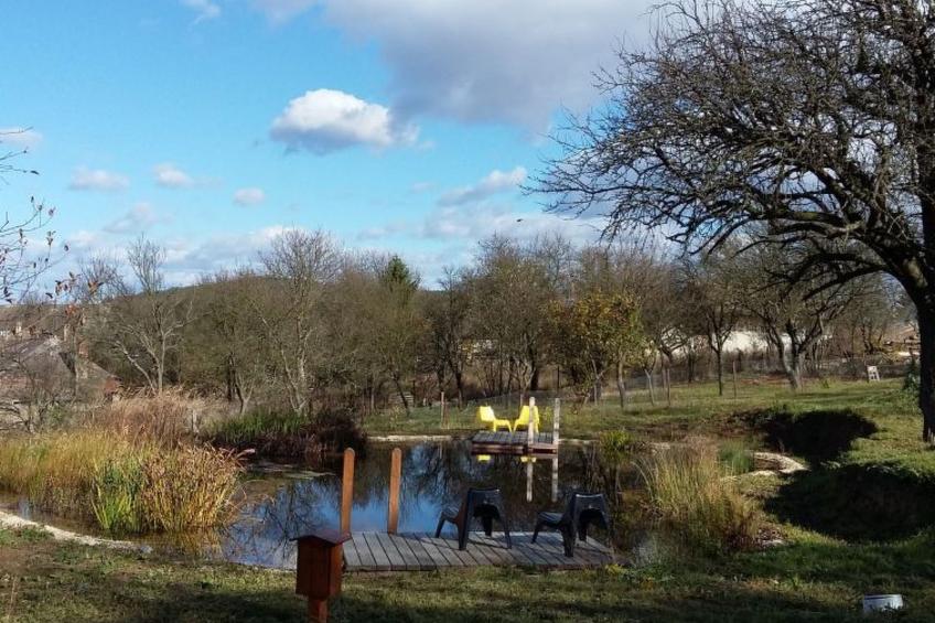 mit biologischem Schwimmteich - foto 3