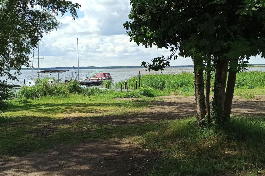 in Altwarp mit Botanischem Garten - foto 9