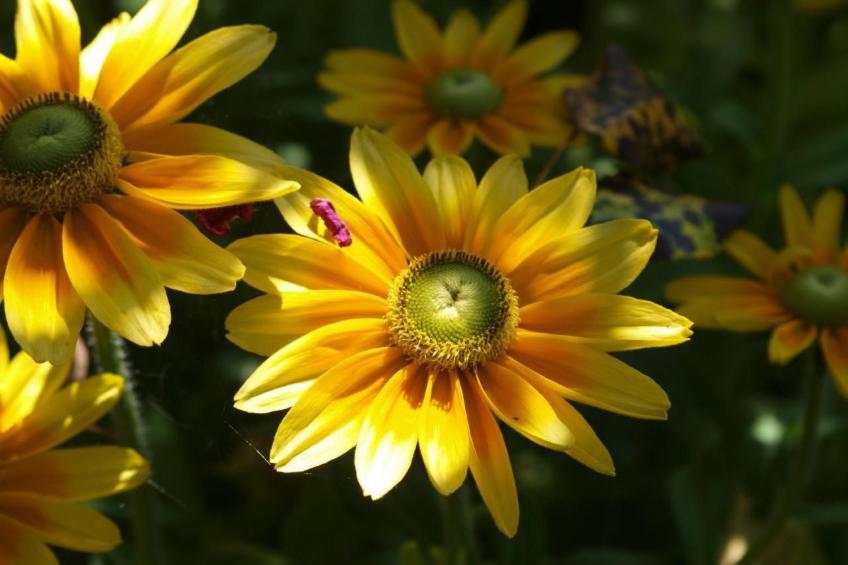 Le Château d'Eau - foto 26