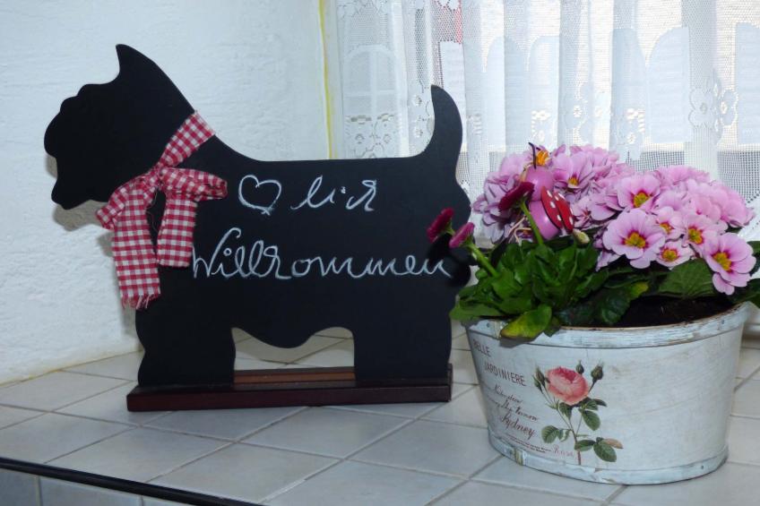 Relaxen am Nationalpark Eifel - foto 39